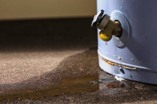 Best Flood restoration services  in Northwood, OH