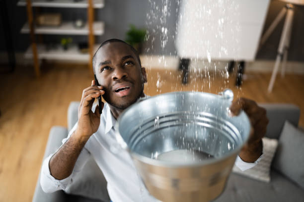 Best Professional water damage repair  in Northwood, OH