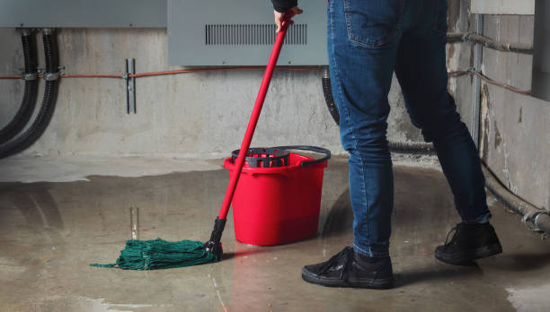 Best Commercial water damage restoration  in Northwood, OH