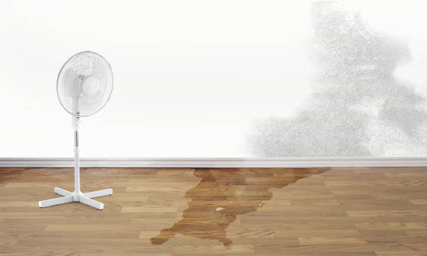 Best 24/7 water damage repair  in Northwood, OH