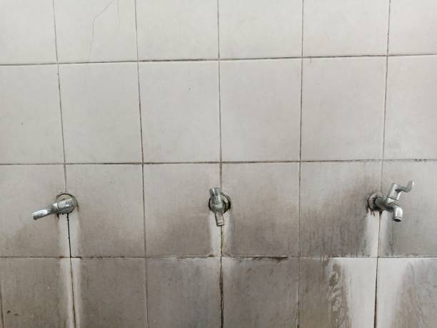 Best Local water damage restoration  in Northwood, OH