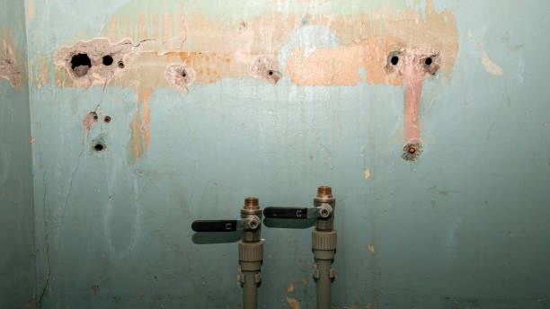 Best Residential water damage restoration  in Northwood, OH
