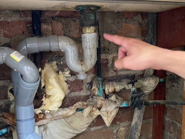 Best Mold removal after water damage  in Northwood, OH