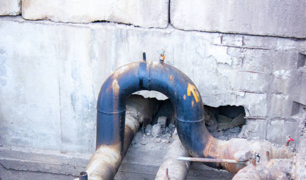 Best Water damage contractors near me  in Northwood, OH