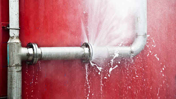 Best Professional water damage repair  in Northwood, OH